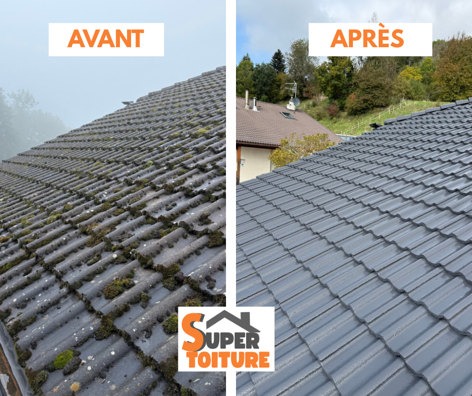 Avant / après démoussage d'une toiture envahie de mousse